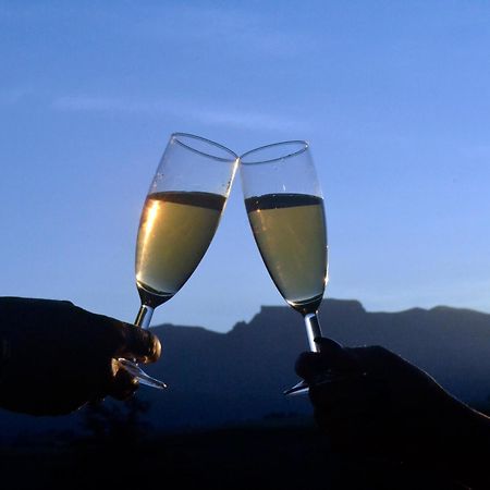 耐斯特德拉肯斯山庄度假酒店 Champagne Valley 外观 照片