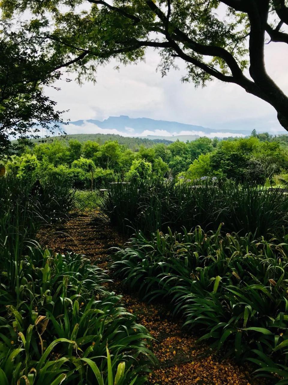 耐斯特德拉肯斯山庄度假酒店 Champagne Valley 外观 照片