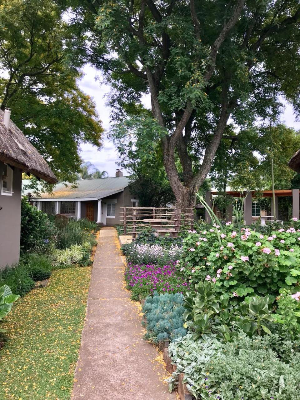 耐斯特德拉肯斯山庄度假酒店 Champagne Valley 外观 照片